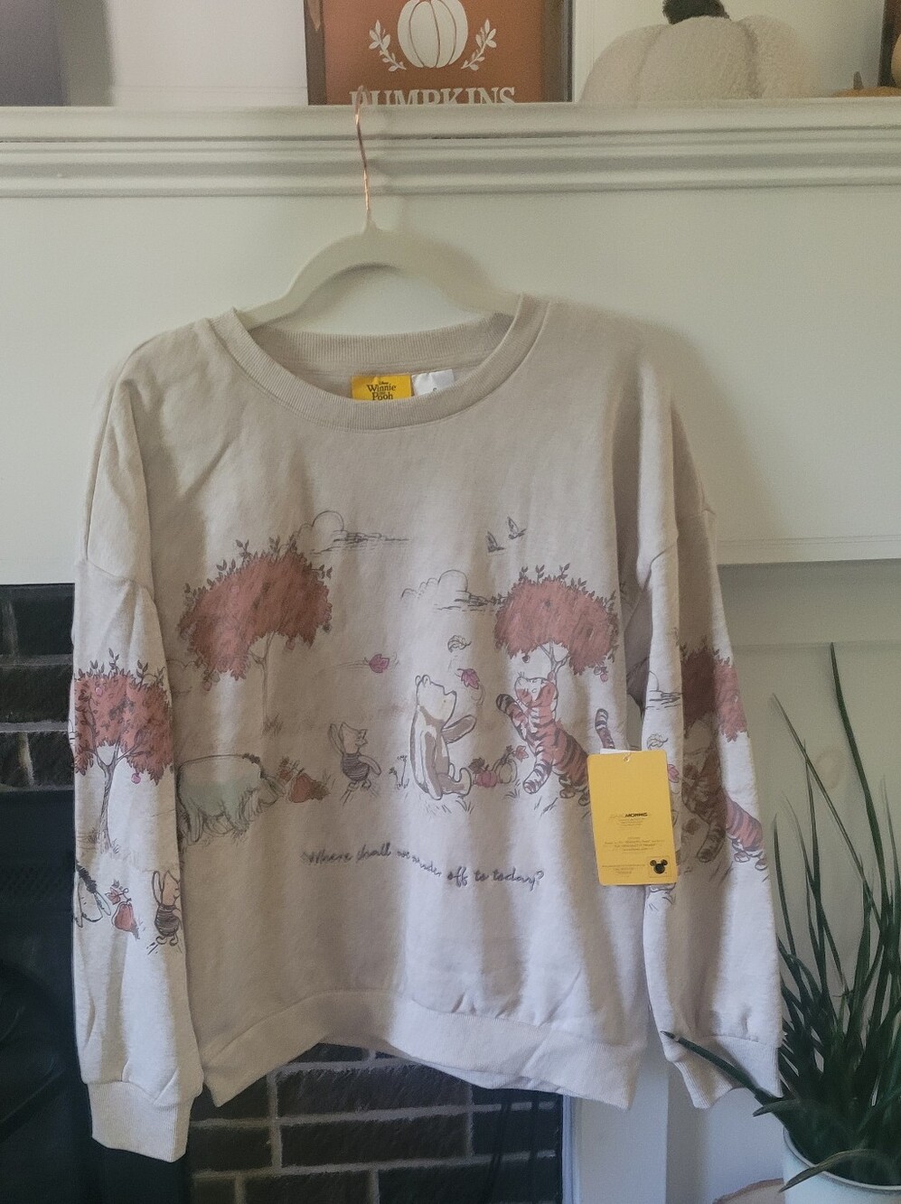 Winnie The Pooh turns 100! Official Embroidered Winnie the Pooh Sweatshirt!